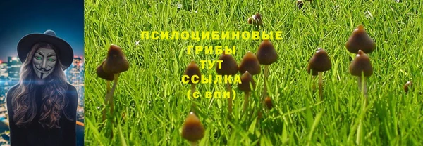 гашишное масло Волоколамск