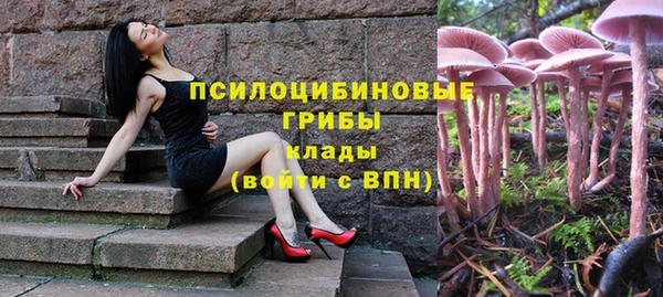 гидра Волосово