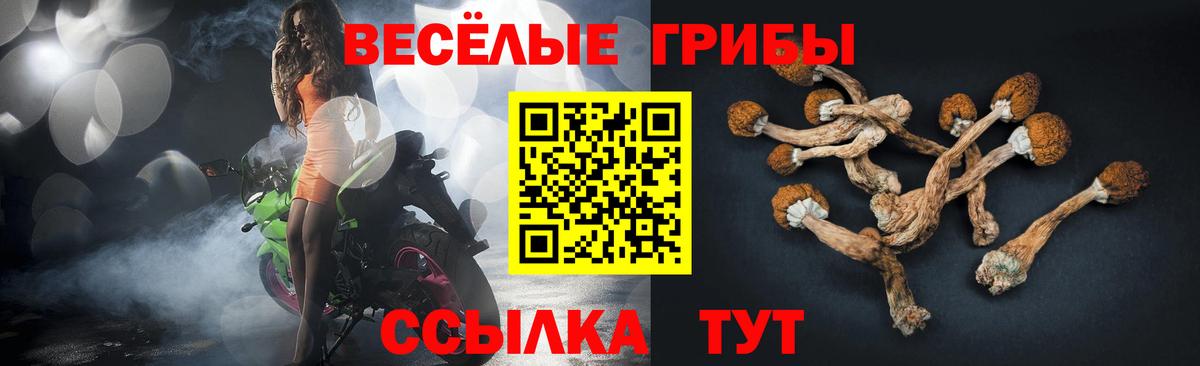 Астрахань  Галлюциногенные грибы прущие грибы  Галлюциногенные грибы Cubensis  Вход с VPN 